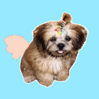 Flappy Bubbles