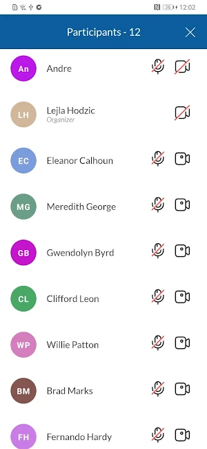 IPVoice Meetings Screenshot 3