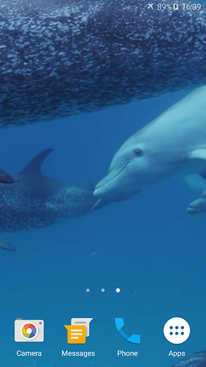 Dolphins Live Wallpaper Screenshot 3