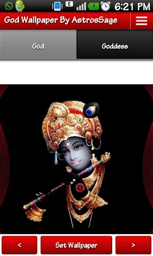 Hindu God Wallpapers - Goddess Screenshot 3