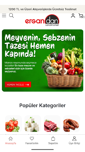 Ergandan Sanal Market Screenshot 0