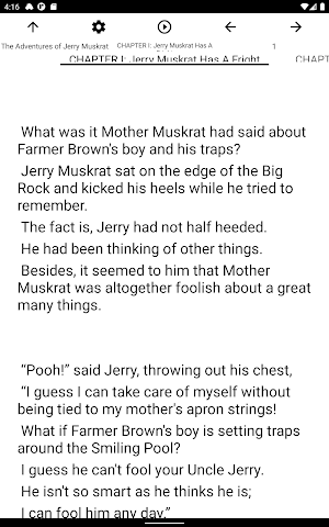 Book, The Adventures of Jerry  Screenshot 3