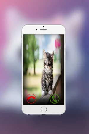 face call funny cat Screenshot 2