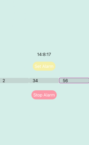 Alarm Screenshot 2