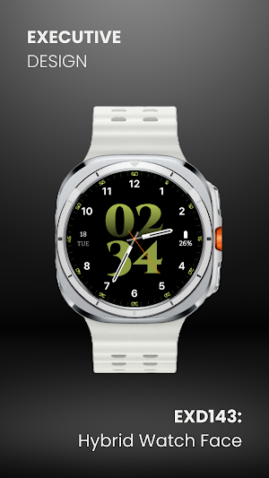 EXD143: Hybrid Watch Face Screenshot 2