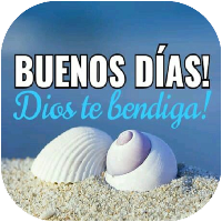 Buenos  Días Tardes Noches
