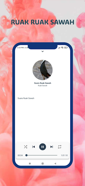 Pikat Burung Ruak Ruak Sawah Screenshot 1