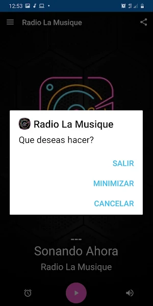 Radio La Musique Screenshot 3