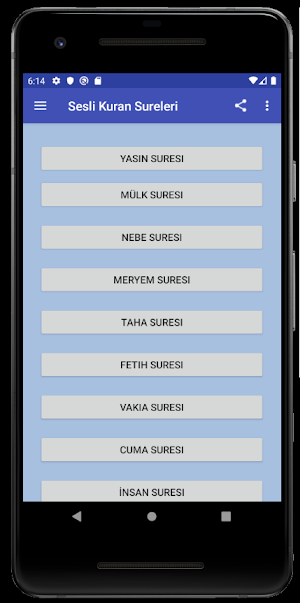 Yasin Tebareke Amme (Nebe) Sureleri Meal Tefsir Screenshot 0