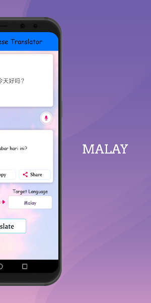 Malay - Chinese Translator Screenshot 2