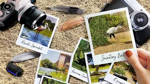 The Birders Screenshot 0