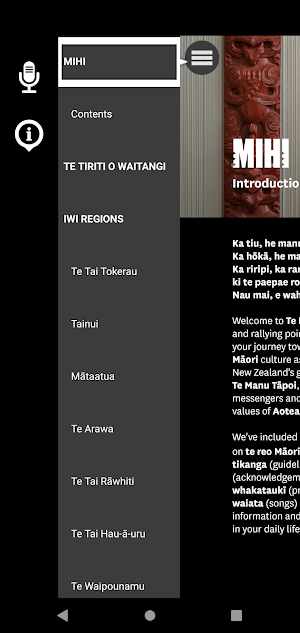 Te Manu Tāpoi Screenshot 2