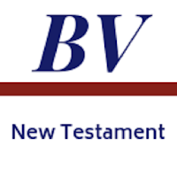 Bibleview - New Testament