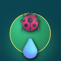 Dytiscus Glorion: Beetle Quiz