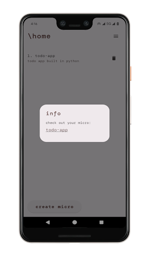 Micro - run python on web Screenshot 2