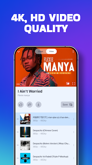 Video Downloader Screenshot 3