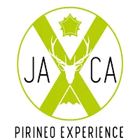 JACA Experience