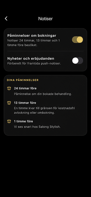 Salong Stylish Screenshot 2