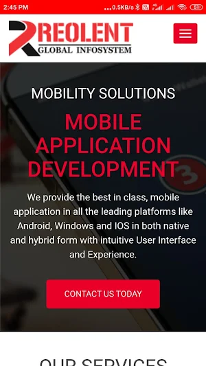 Website To Mobile Application Screenshot 1