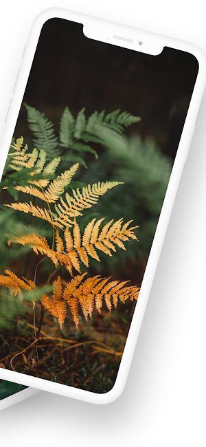 Theme for Oppo F21 Pro Screenshot 1