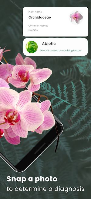 AnyPlant: AI Plant Identifier Screenshot 1