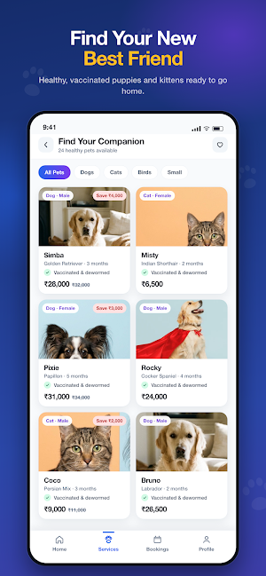 King's Pet: Premium Pet Care Screenshot 3