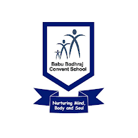 Babu Bodhraj Convent School