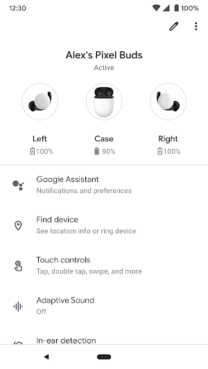 Google Pixel Buds Screenshot 0