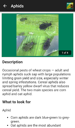 MyCrop Barley Screenshot 3