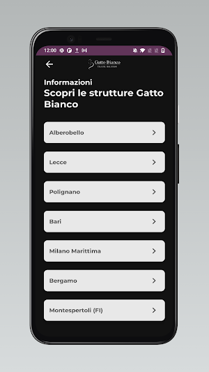 Gatto Bianco Screenshot 2