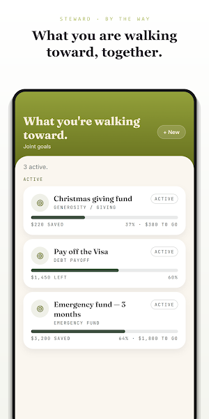 Steward — Couples Money Talks Screenshot 2