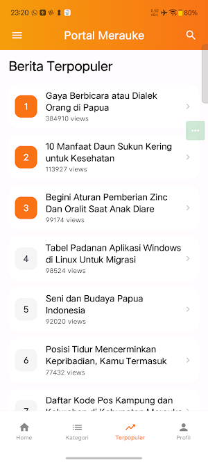 Portal Merauke Screenshot 3