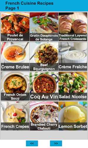 120 French Cuisine Recipes Screenshot 0