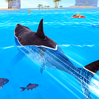 Wild Shark: Real Shark Attack