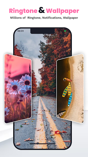 Ringtone & HD Wallpaper Master Screenshot 0