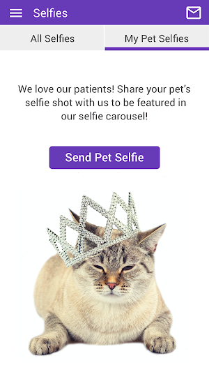 Purrfect Care Vet Screenshot 3