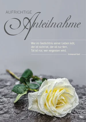 Aufrichtige Anteilnahme Bilder Screenshot 2