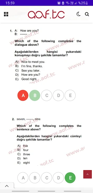 AÖF Çıkmış Sorular Screenshot 3