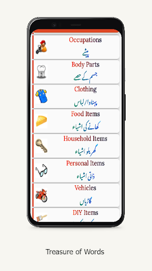 Daily Words English to Urdu Screenshot 1