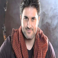 اغاني ملحم زين بدون نت