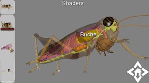 3D Grasshopper Explorer Screenshot 0