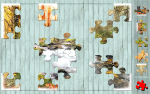 Jigsaw Genius Pro Screenshot 2