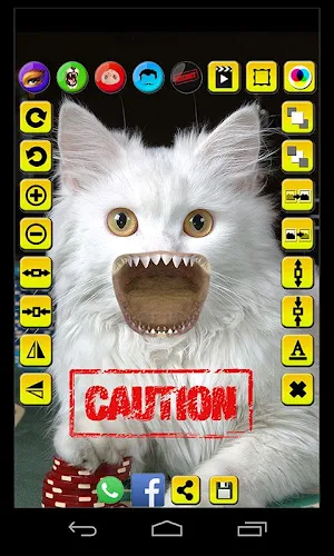 Face Fun Photo Collage Maker 5 Screenshot 2