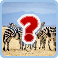 Animal Name Quiz