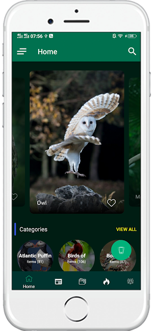 1000+ Birds Wallpapers 4K HD Screenshot 0