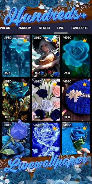 blue rose wallpaper Screenshot 2