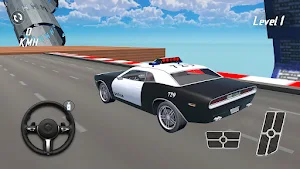 Police Car Real: Race 3D Screenshot 2