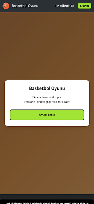 Basketbol Oyunu Screenshot 2