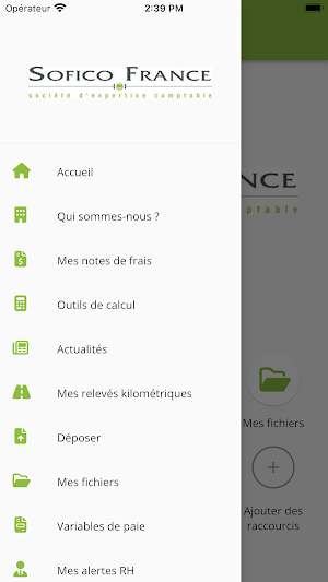 Sofico France Screenshot 3