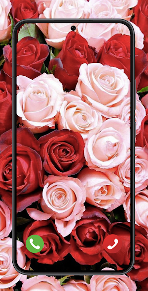 red rose wallpaper Screenshot 0
